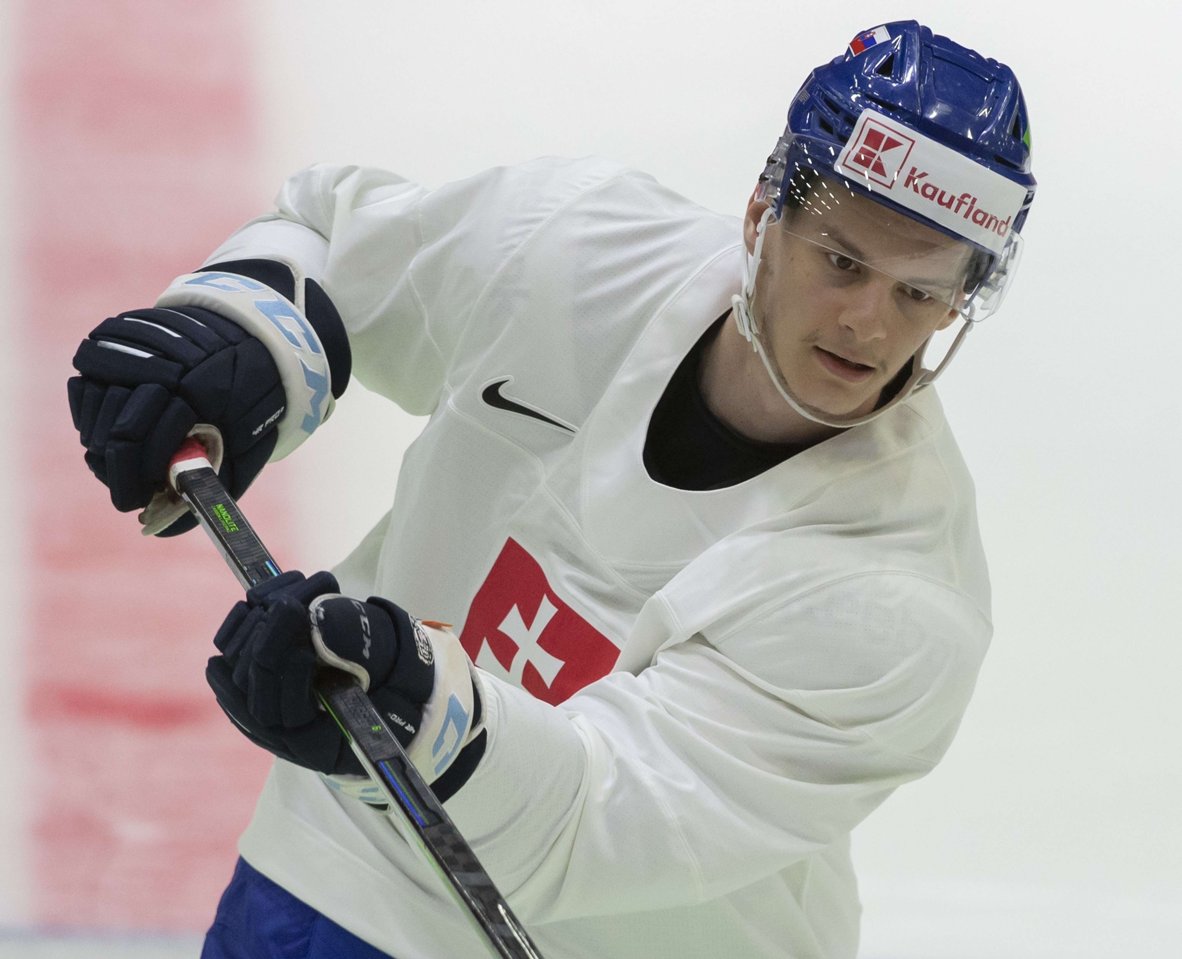 Hokejová reprezentácia